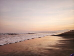 Nær stranden, solsenger og strandhåndklær