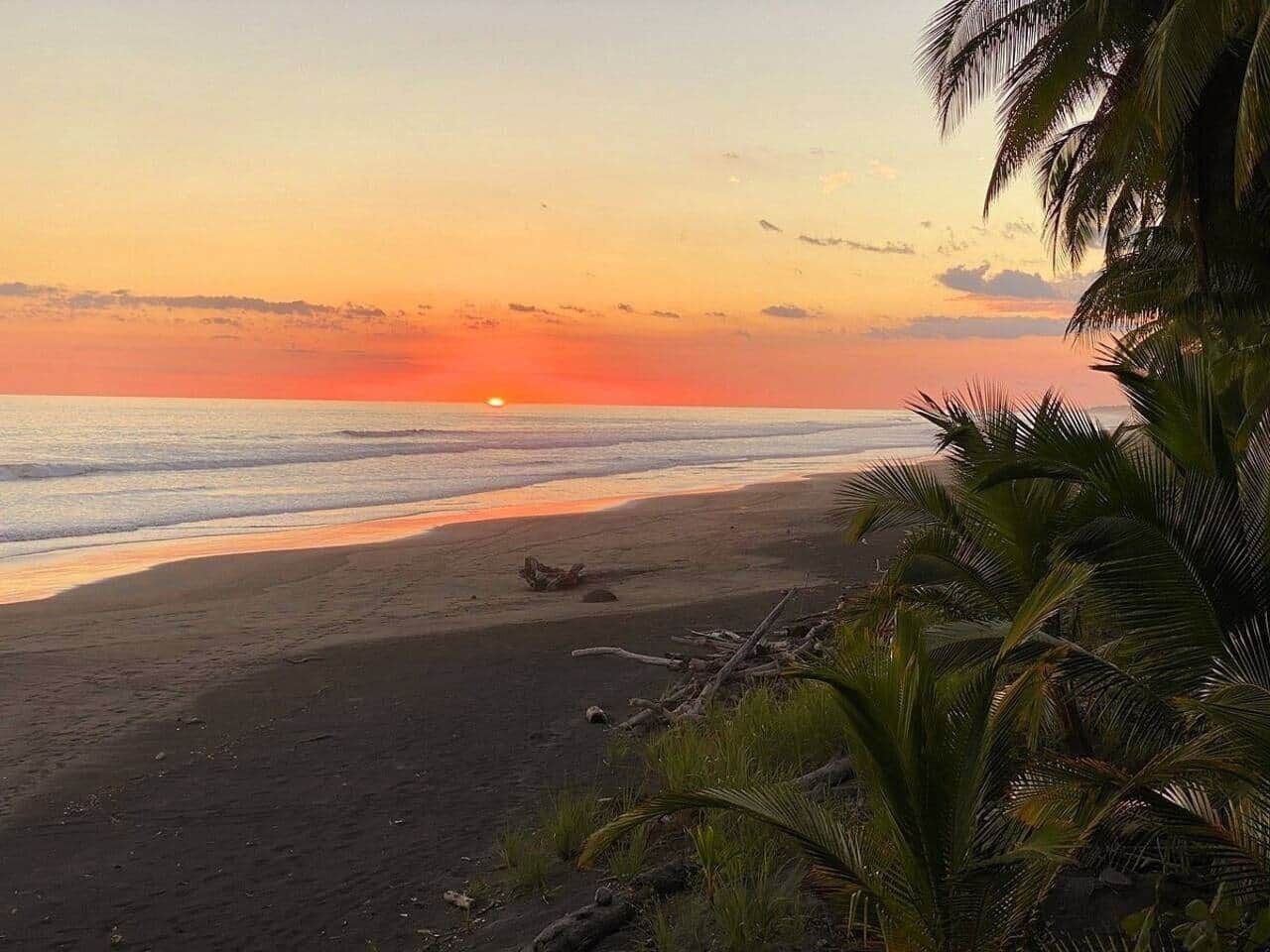 Camastros y toallas de playa 