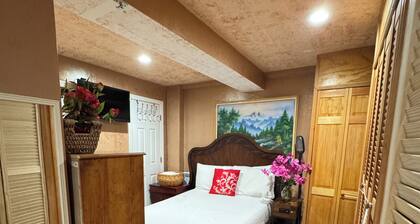 Spacious Quaint Central Studio