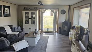 Télévision, cheminée, chaßne hi-fi