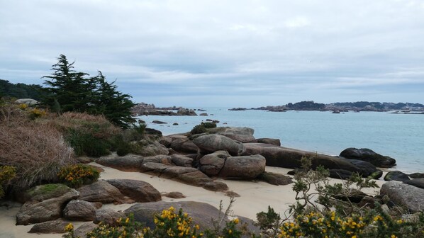 Strand