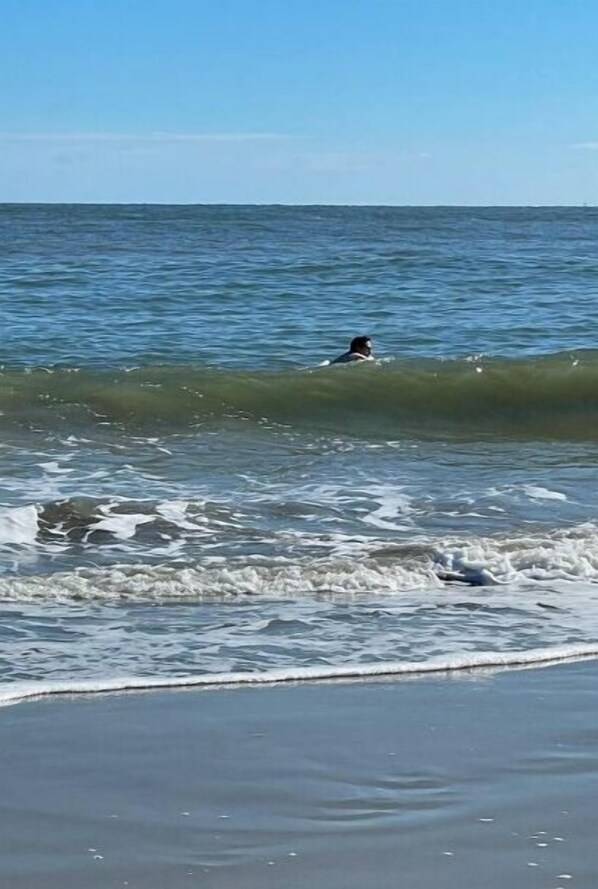 Strand