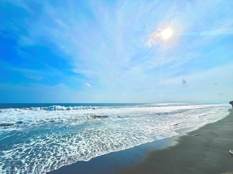Private beach, beach umbrellas, beach towels