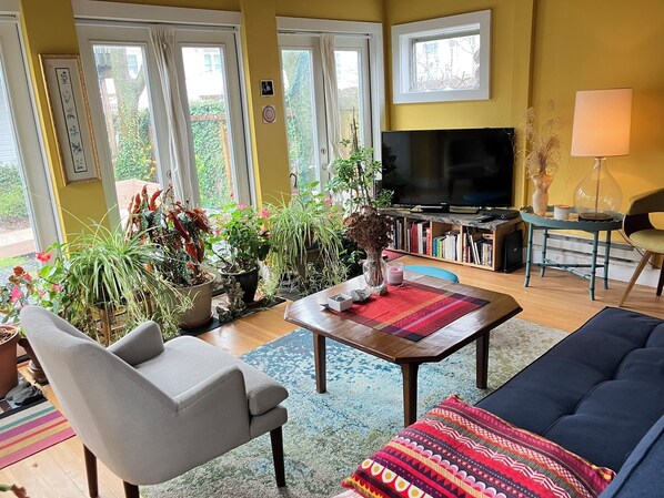 TV, DVD player, books, music library