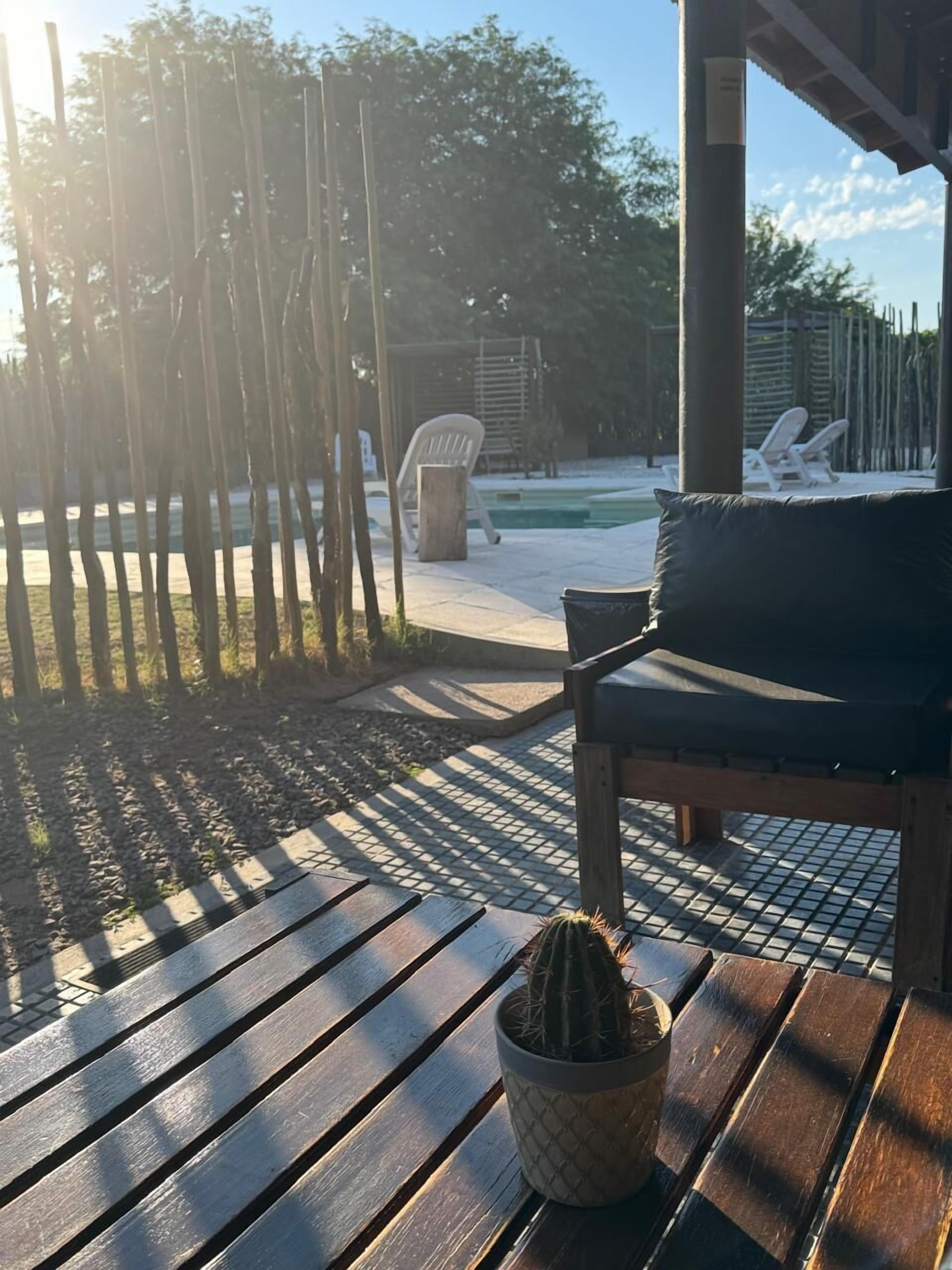 A wooden deck with a bench and a potted cactus.