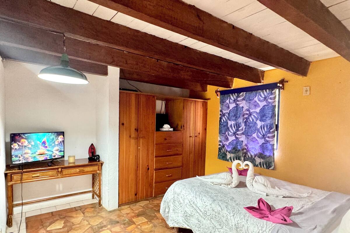 Classic Loft, Patio, Tower | WiFi (free)