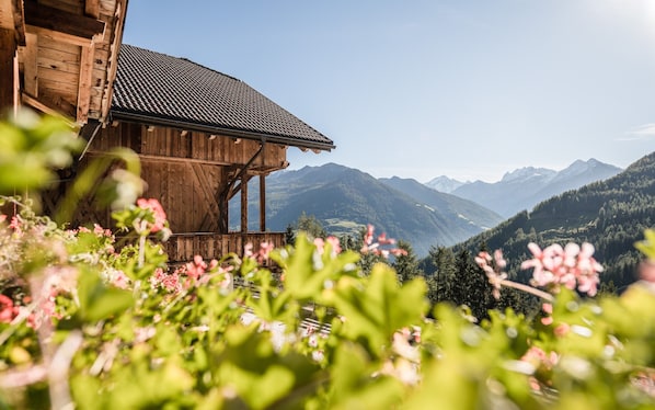 Une cabane en bois avec un toit en tuiles, entourée d’une végétation luxuriante et avec des montagnes en arrière-plan.