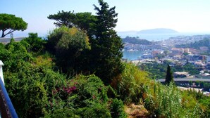 Paisagem costeira urbana com vegetação densa e vista clara para o mar.