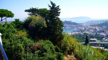 Vue depuis l’hébergement