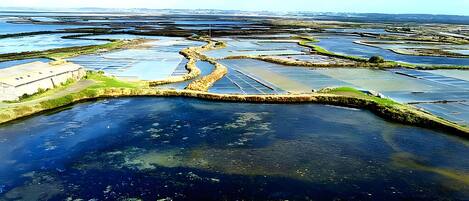 Vista aérea de una zona costera con campos en terrazas y una extensión de agua.