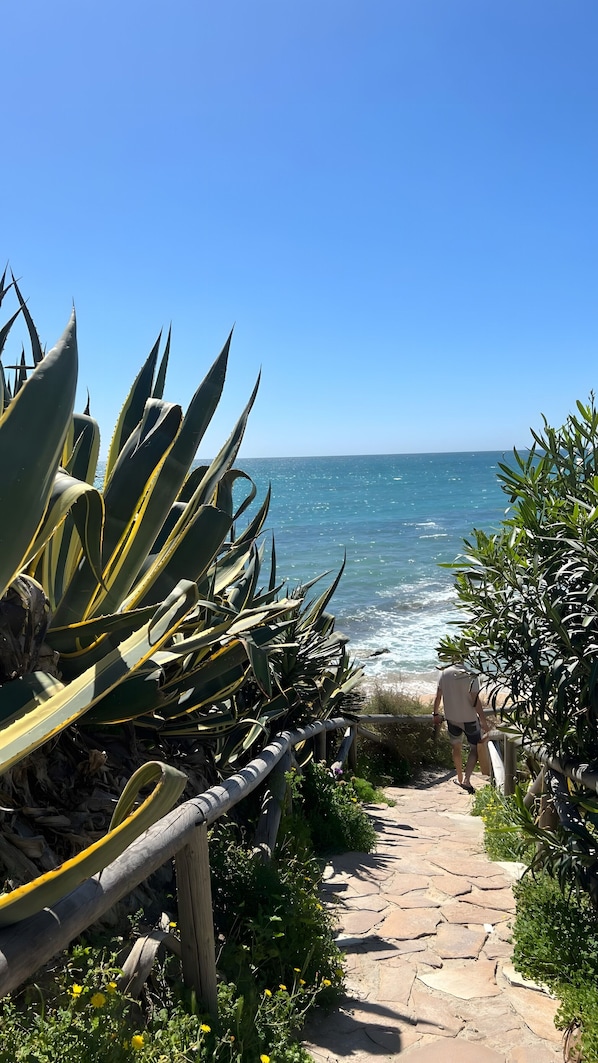 A stone pathway leading to the ocean, surrounded by greenery and a clear blue sky.