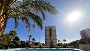 A swimming pool with 'TORRE GRANADA PARIS' written on it, surrounded by palm trees and a tall building in the background.