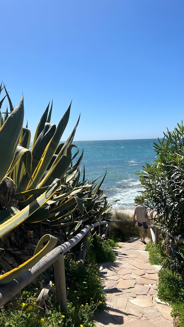 Playa en los alrededores 