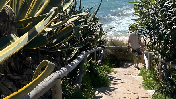A stone pathway leading to the ocean, surrounded by greenery and a clear blue sky. - Apartment 'Casa Antonia 2' with Shared Terrace, Wi-Fi and Air Conditioning (Conil de la Fra.)