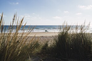 Playa en los alrededores 