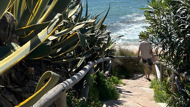 Ein Küstenpfad mit freiem Blick auf das Meer, umgeben von viel Grün und einem Holzzaun.