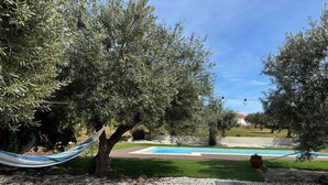 Uma área de piscina com rede, oliveiras e uma estrutura de pedra.