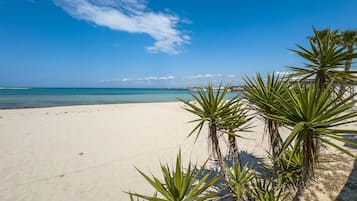 Una playa cerca