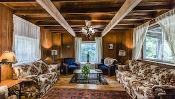 Televisión, chimenea y libros