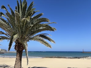 A beach with a palm tree, clear blue sky, and calm sea. - Barraquito • Pool • 100 meters to the beach • LVH (Costa Teguise)