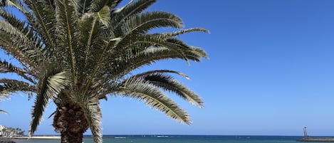Una spiaggia nelle vicinanze
