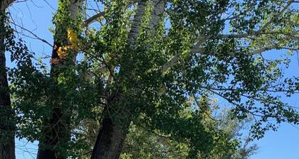 Farm Stay Cozy 2-bedroom guest house on farm in Hotchkiss