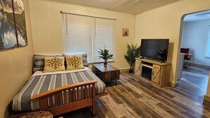 Ein Schlafzimmer mit einem Bett, einem Fernseher, einer Pflanze und einem Kamin.