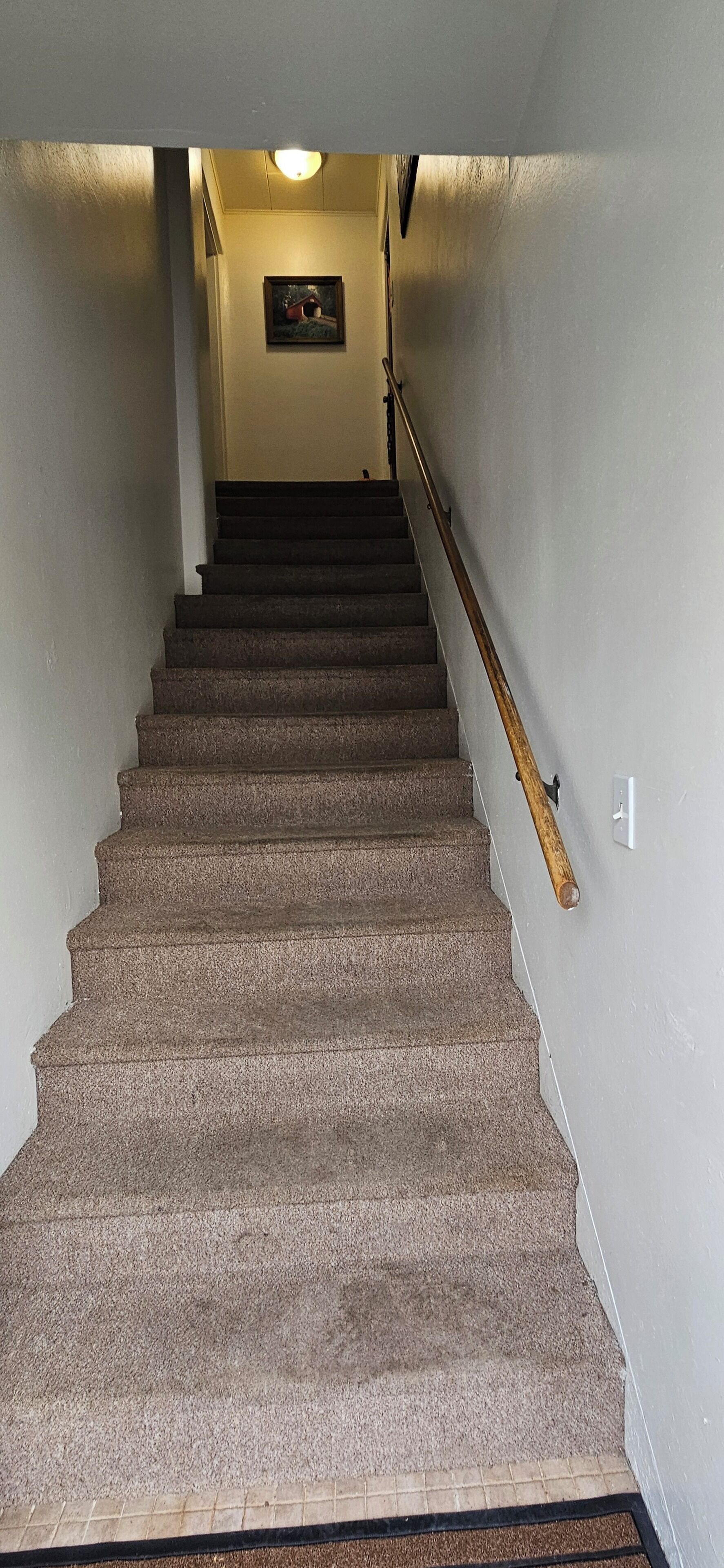 Eine Teppichstufen Treppe mit Handlauf, einer Leuchte oben und einem gerahmten Bild an der Wand.