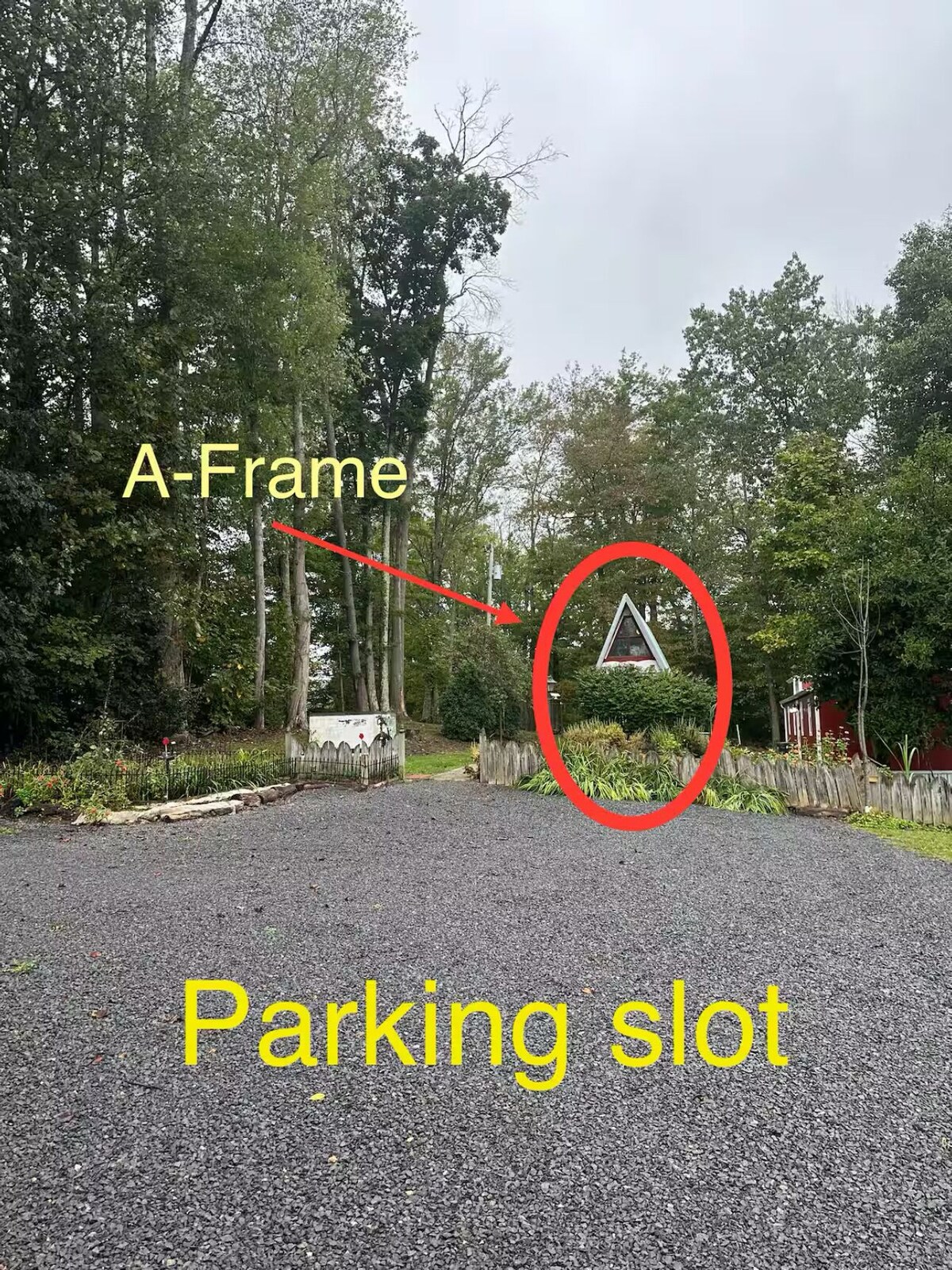 Værtens profilbillede
