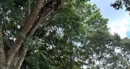 Trade Fair Ready 4 bedroom/2 bath Hillside Home - Breakfast Included. Sleeps 8