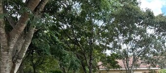 Trade Fair Ready 4 bedroom/2 bath Hillside Home - Breakfast Included. Sleeps 8