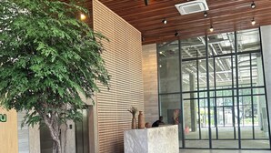 A modern lobby with a large potted tree, seating area with cushions, and a reception desk. - Charm and Sea View in the Vitoria-Alive Corridor (Vitória Salvador)