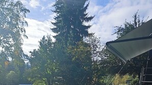 Ein Garten mit Rasenfläche, einer überdachten Terrasse, Bäumen und einem kleinen Schuppen.
