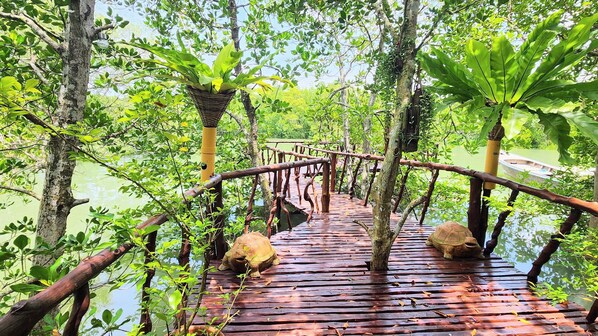 المنطقة المحيطة بالمنشأة