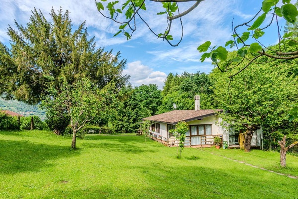 Baum, Gras, Strauch, Wiese, Ländliches Gebiet, Hütte, Grundstueck, Einfach, Garten, Rasen