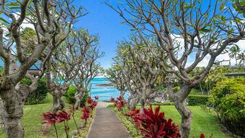 Apartment | 3 bedrooms, Internet