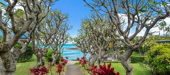 Alaeloa 38 in Lahaina