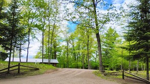 A gravel driveway leading to a rustic cabin surrounded by tall trees.