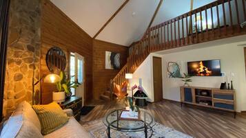 Smart TV, chimenea y libros