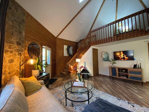 Smart TV, chimenea y libros 