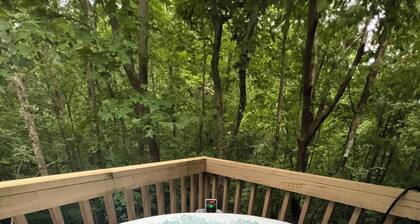 Pet-Friendly Retreat with Hot Tub and Resort Amenities! Stunning Views!