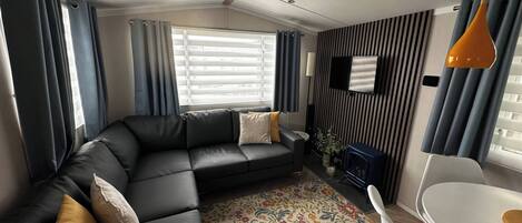 Télévision, cheminée, chaîne hi-fi