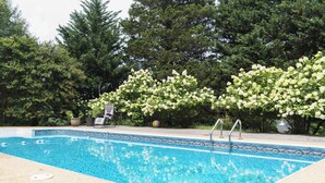 A swimming pool with a tiled edge, surrounded by lush greenery and white flowering bushes. - Legacy Villa (Upper Marlboro)