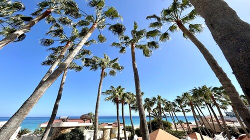 Come and discover a place full of magic