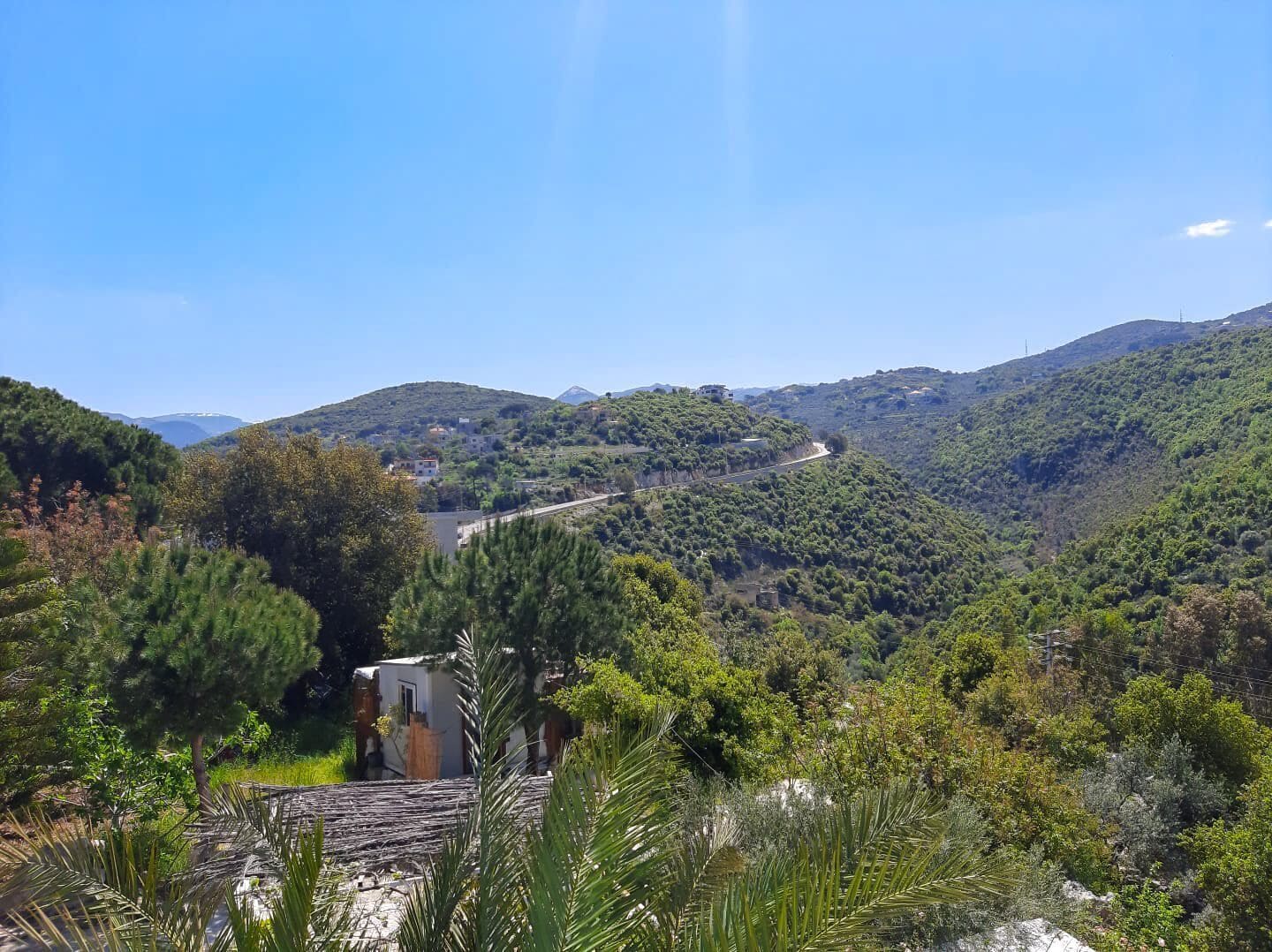 منوع