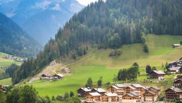 Vista desde la propiedad