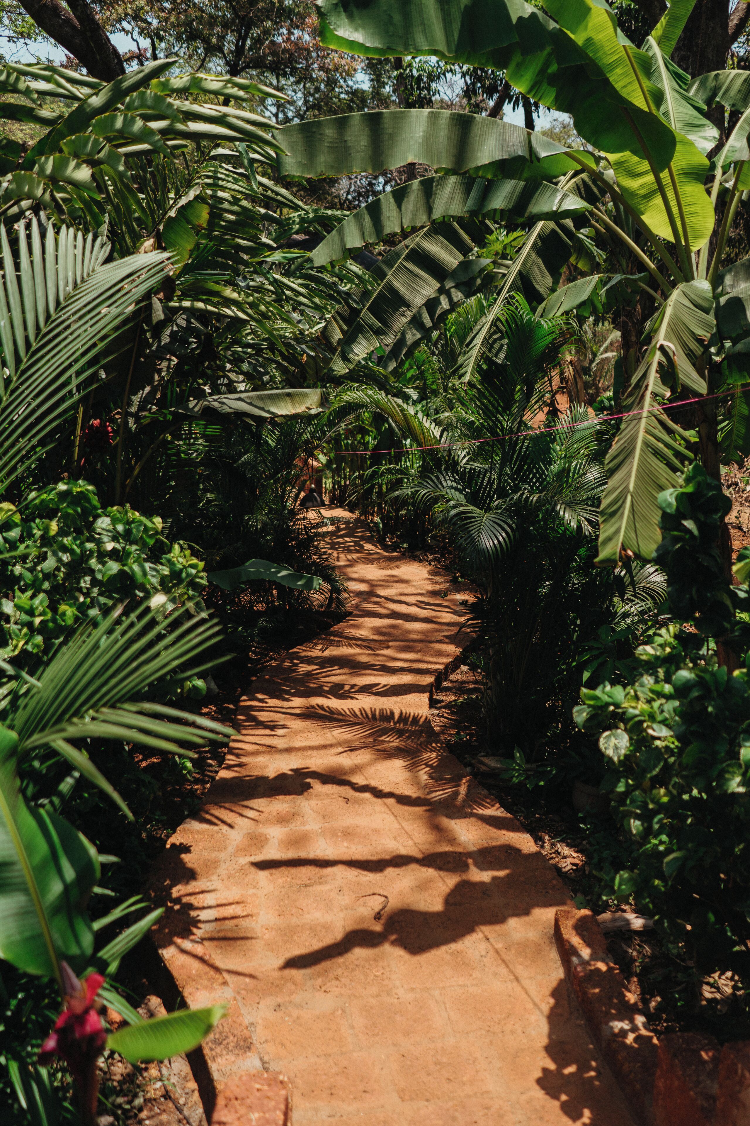 Foto - Mojigao - Eco Resort