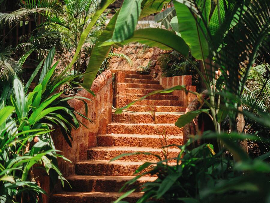 Deluxe Room, 1 King Bed, Patio, Garden View | Garden view