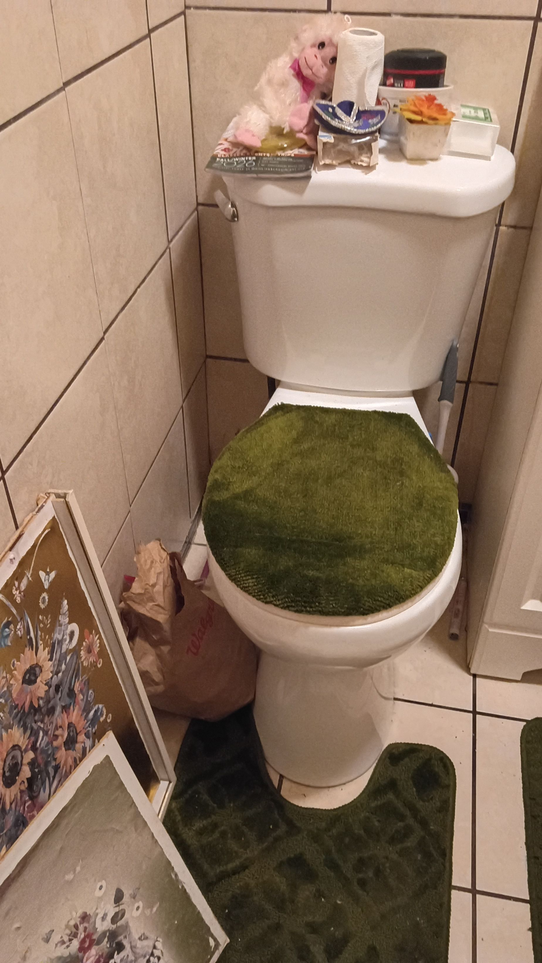 A toilet with a green mat on the seat and a white toilet paper holder on top.