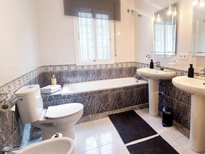 Shower, hair dryer, bidet, towels